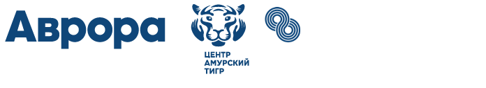 Авиакомпания 